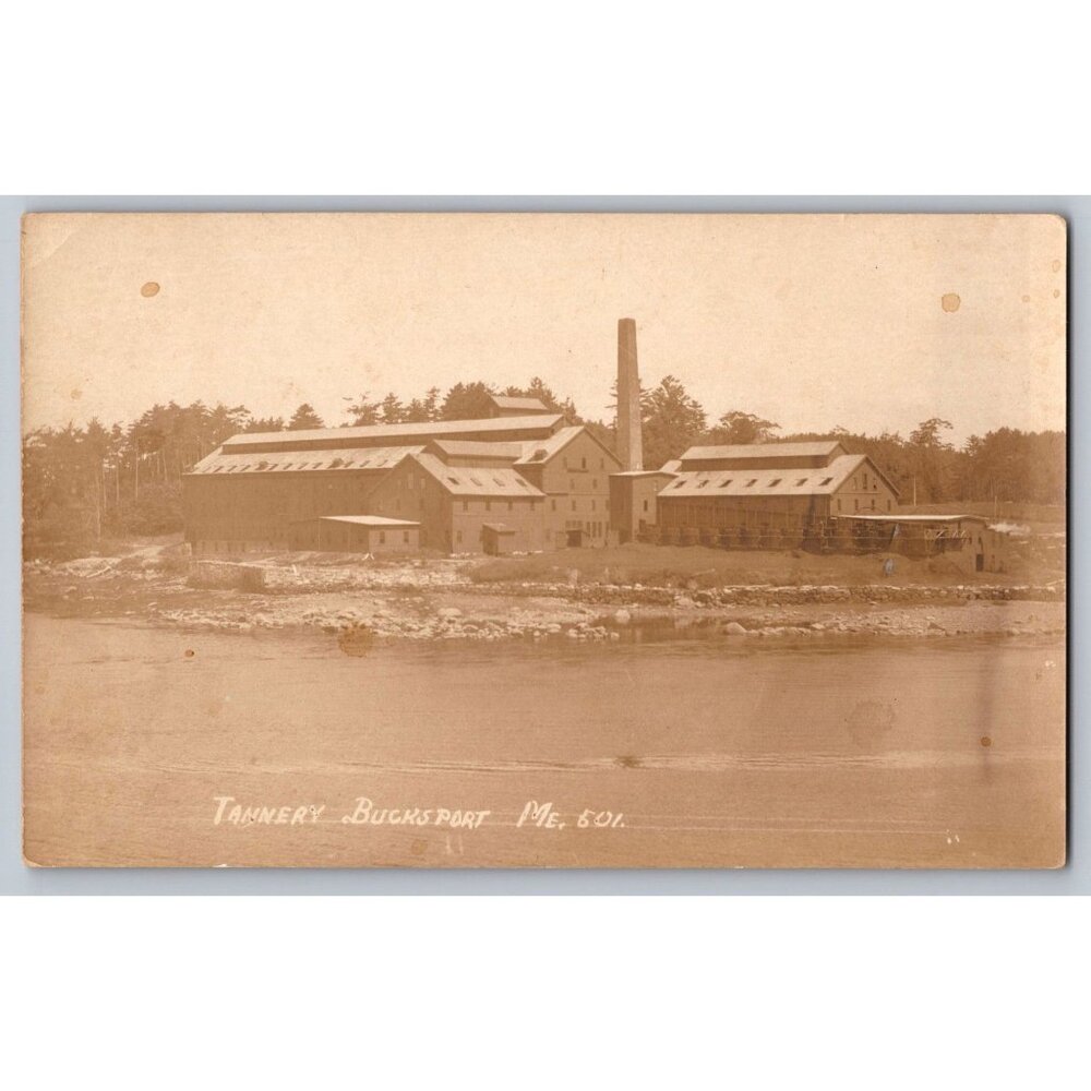 Postcard Unposted Maine Undivided Tannery Bucksport #768